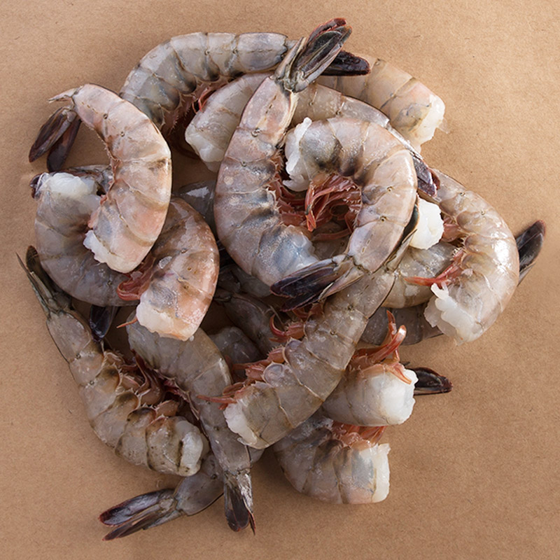 Crustaceans Fishlads Crustaceans Fishlads