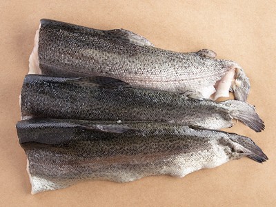 Rainbow Trout Fillet