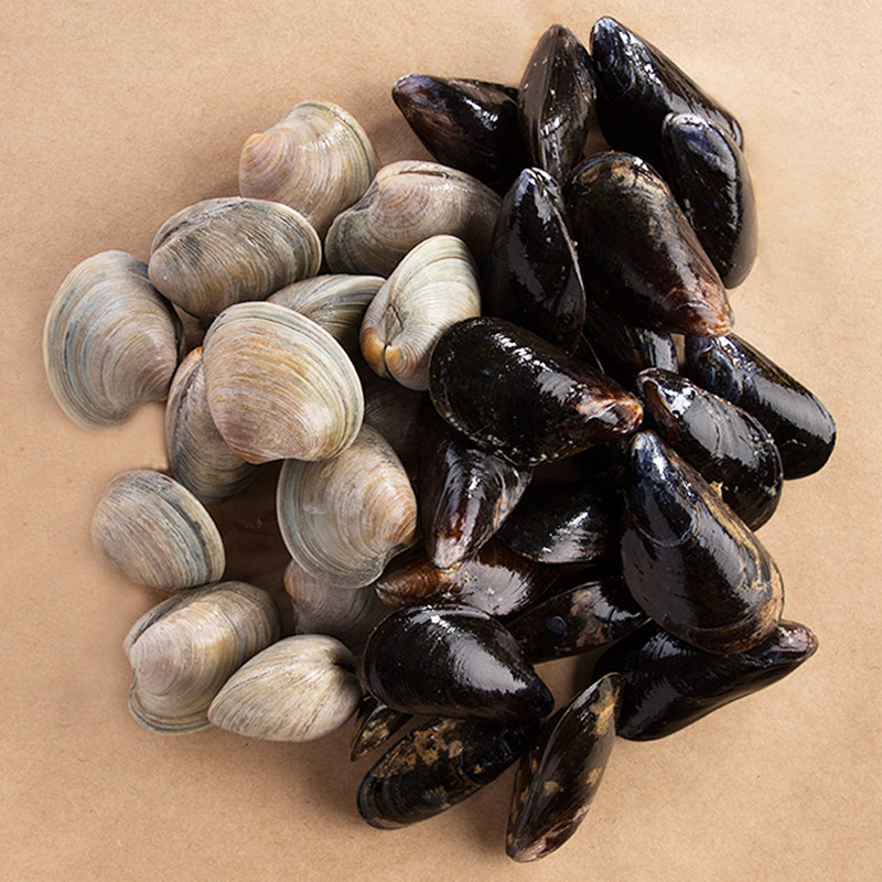 Shellfish, Mollusks, & Oysters Fishlads